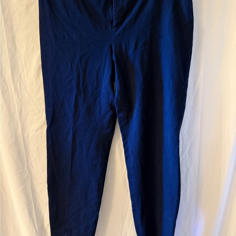 Banana Republic Women’s Navy Sloan Chinos